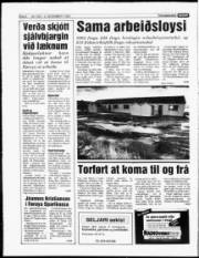Síða 6