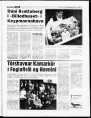 Síða 11