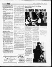 Síða 13