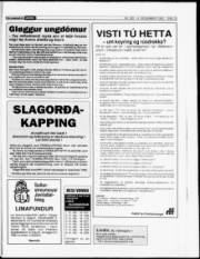 Síða 15