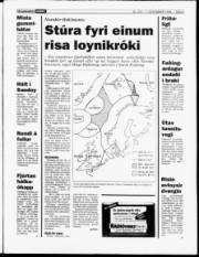 Síða 3