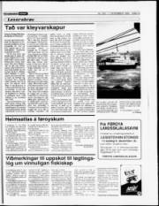 Síða 13
