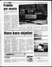 Síða 3