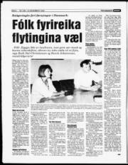 Síða 6