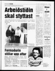 Síða 5