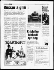 Síða 3
