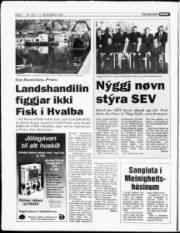 Síða 6