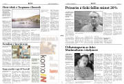 Síða 3