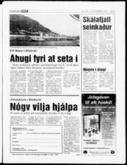 Síða 3