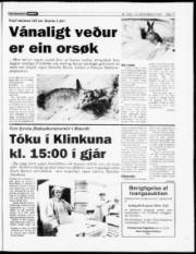 Síða 11