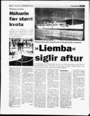 Síða 12