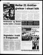 Síða 3