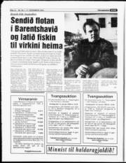 Síða 10