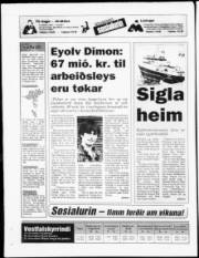 Síða 24