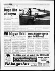 Síða 11
