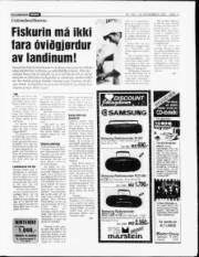 Síða 13