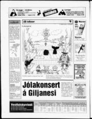 Síða 24