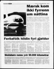 Síða 3