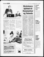 Síða 5