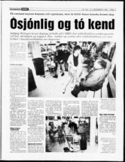 Síða 11
