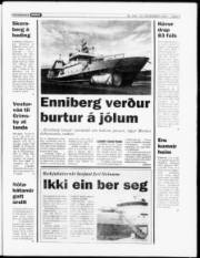 Síða 3