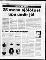 Síða 17