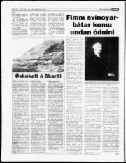 Síða 18