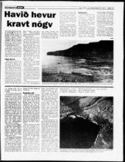 Síða 19