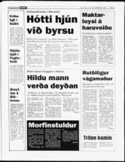 Síða 5