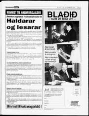 Síða 3
