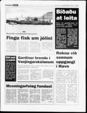 Síða 5