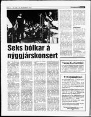 Síða 12