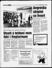 Síða 3