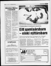 Síða 4