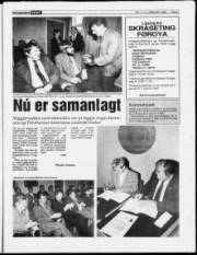 Síða 7