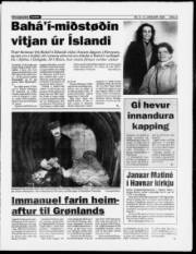 Síða 3