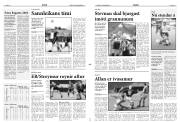 Síða 11