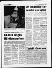 Síða 3