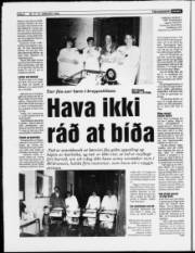 Síða 6
