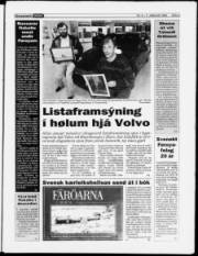 Síða 3