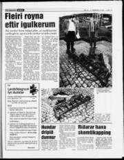 Síða 13