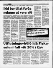Síða 3