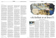 Síða 17
