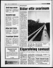 Síða 4
