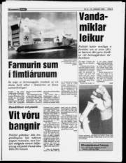 Síða 5