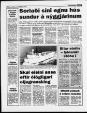 Síða 8