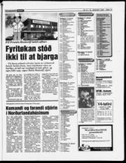Síða 15