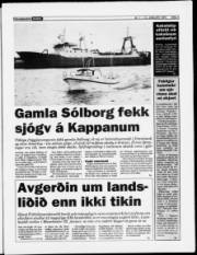 Síða 3