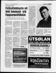 Síða 8