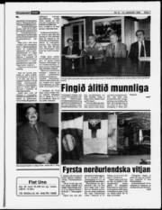 Síða 7